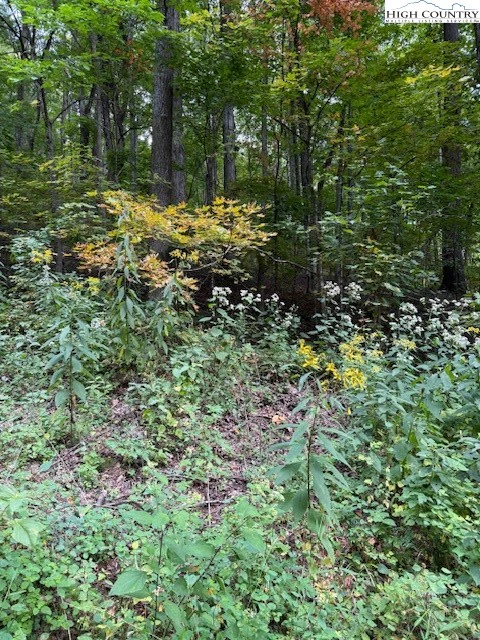 Image number 3 for the current listing