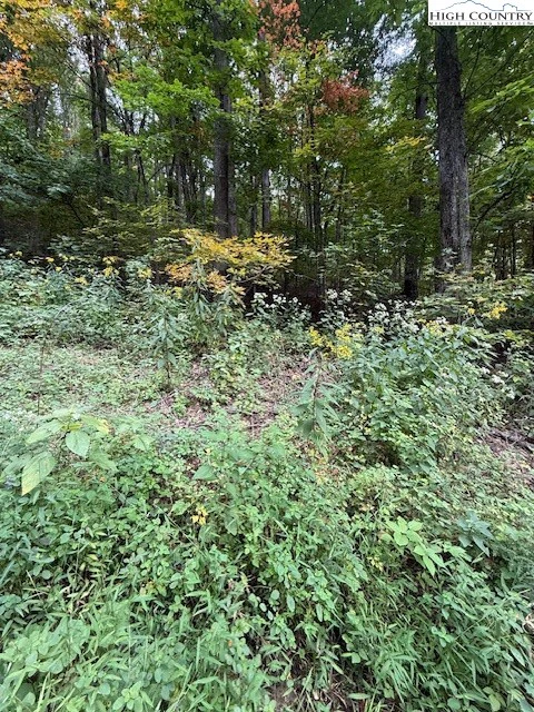 Image number 4 for the current listing