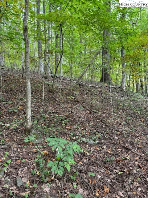Image number 1 for the current listing