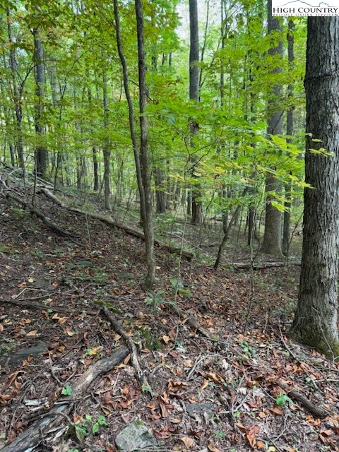 Image number 5 for the current listing