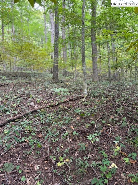 Image number 6 for the current listing