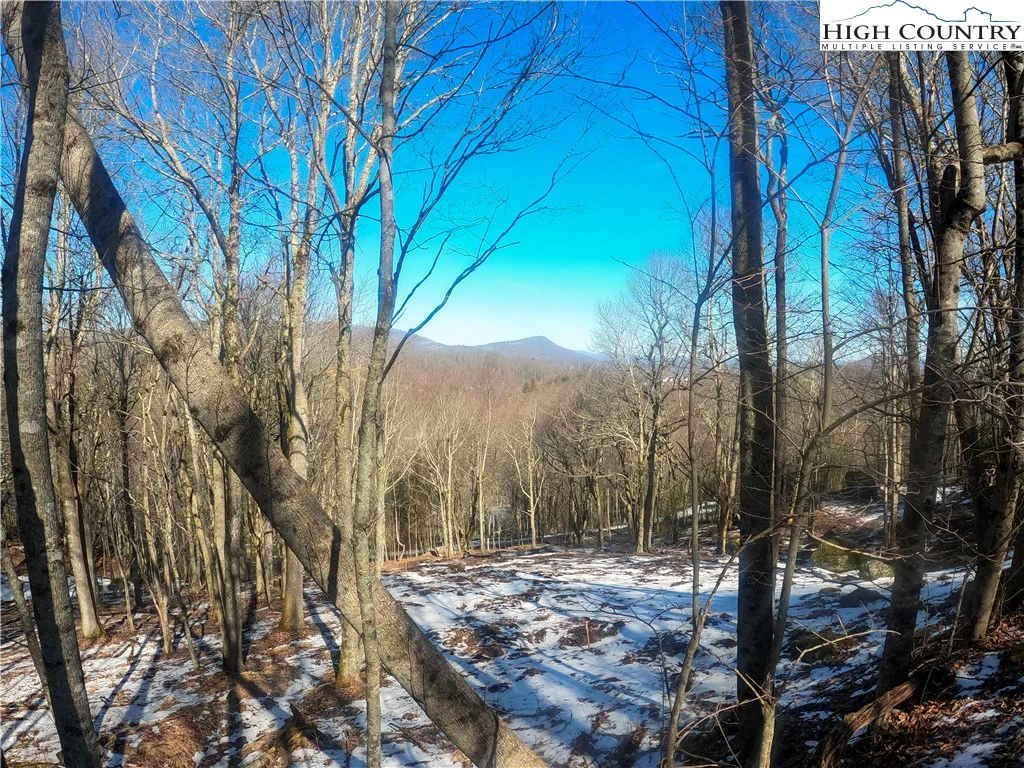 Image number 1 for the current listing