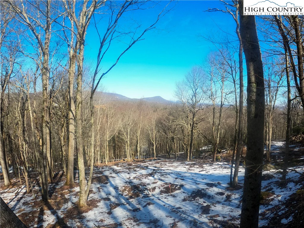 Image number 18 for the current listing