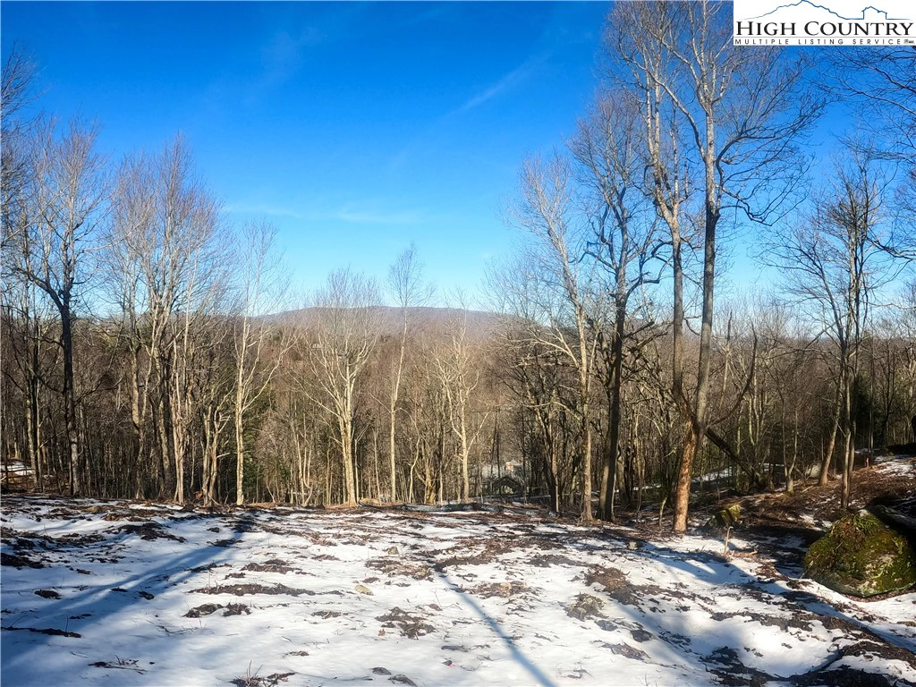 Image number 17 for the current listing