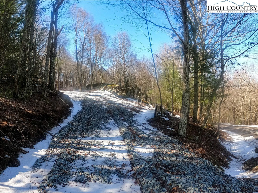 Image number 16 for the current listing