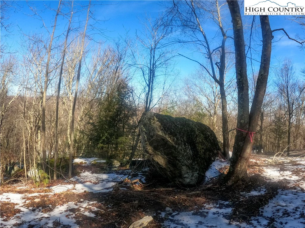 Image number 14 for the current listing