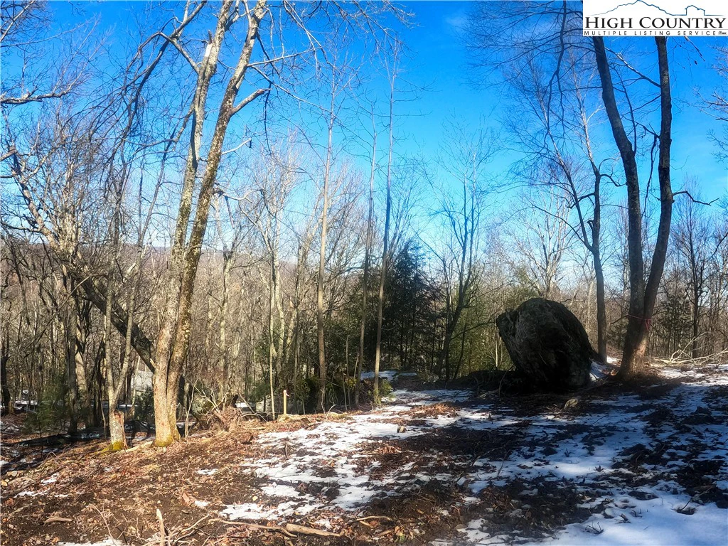 Image number 13 for the current listing