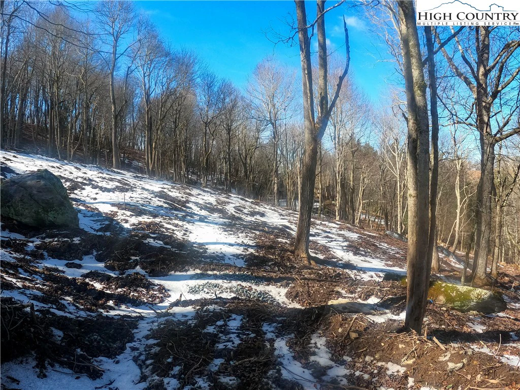 Image number 2 for the current listing