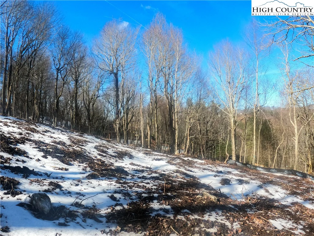 Image number 11 for the current listing