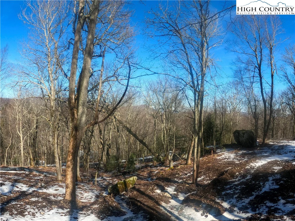 Image number 10 for the current listing