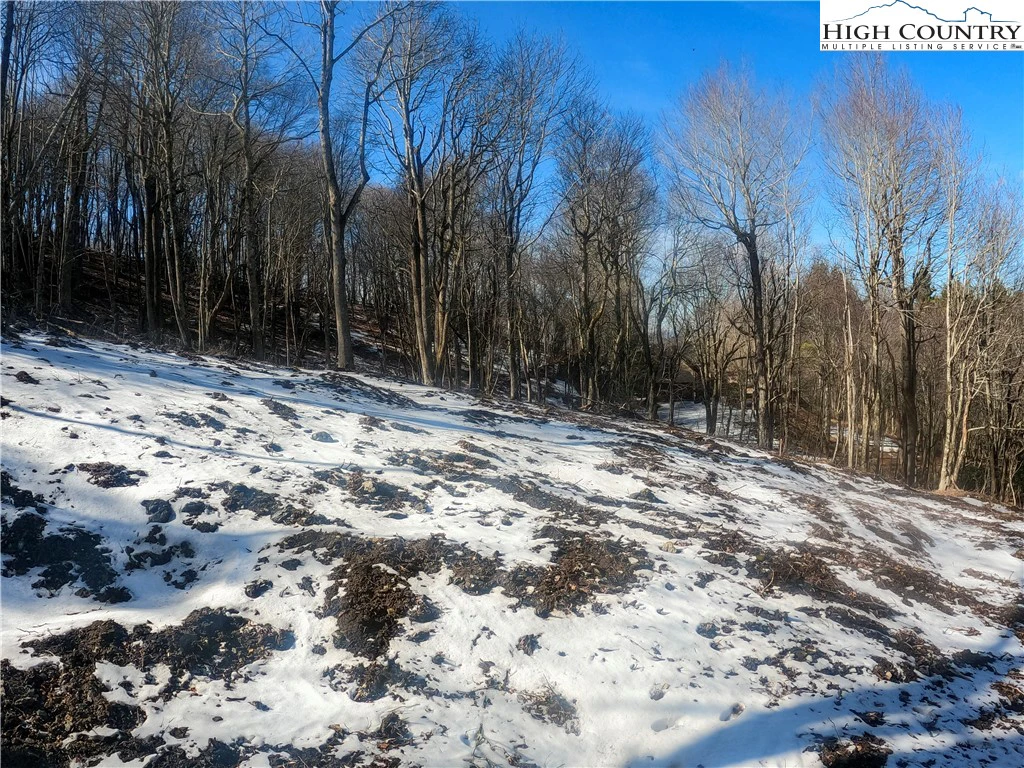 Image number 9 for the current listing