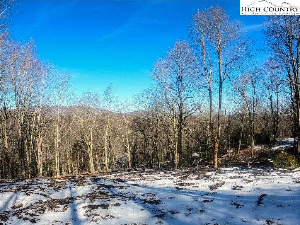 Image number 6 for the current listing