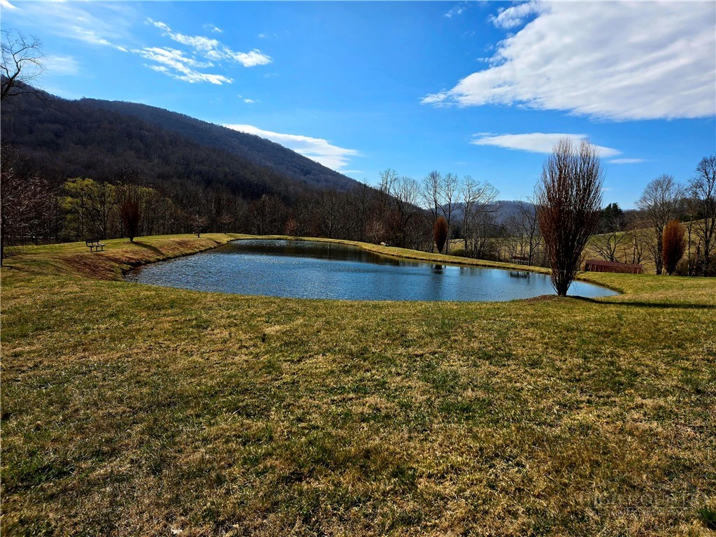 Image number 8 for the current listing