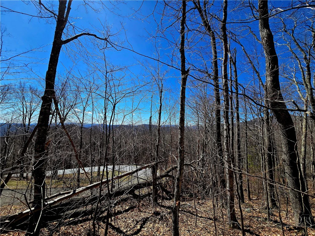 Image number 7 for the current listing