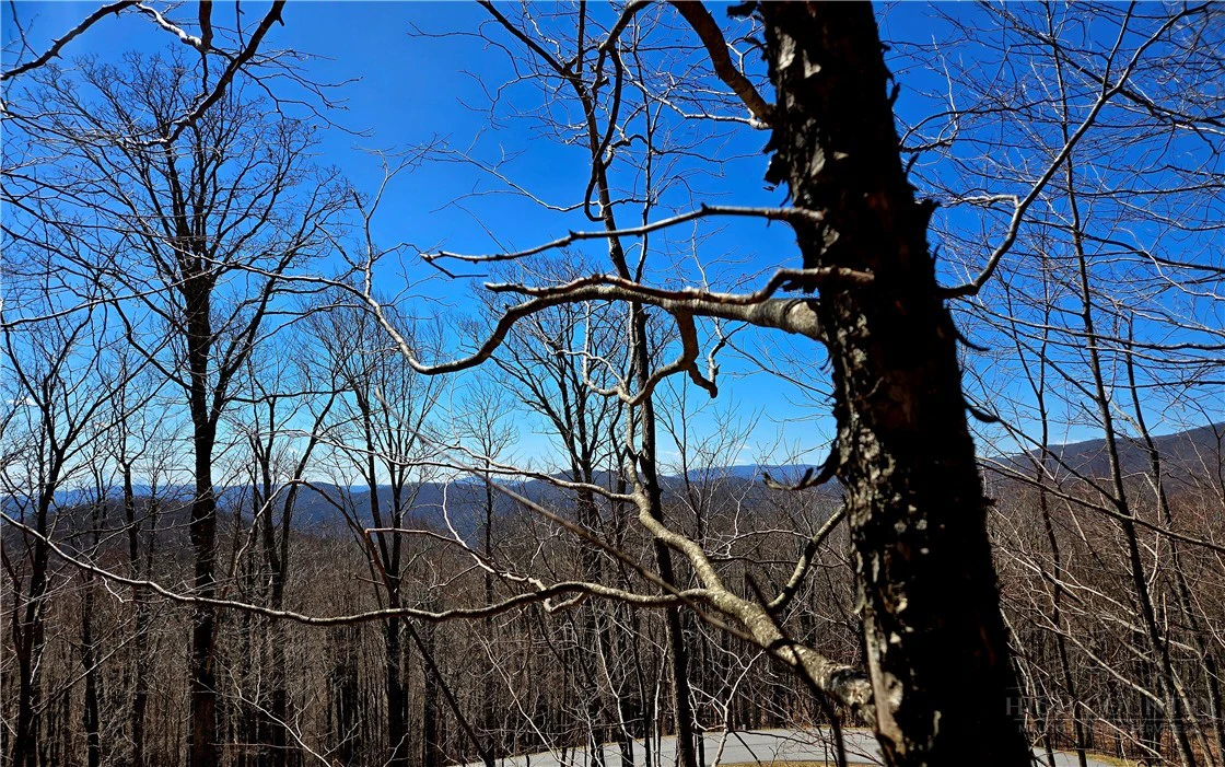 Image number 6 for the current listing
