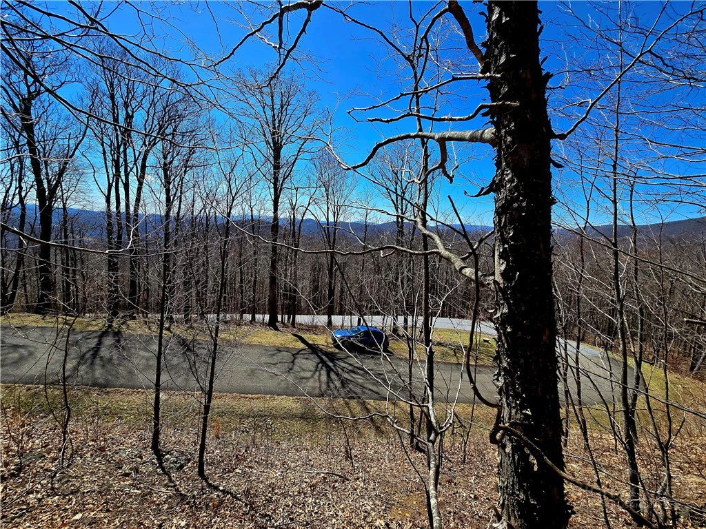 Image number 5 for the current listing