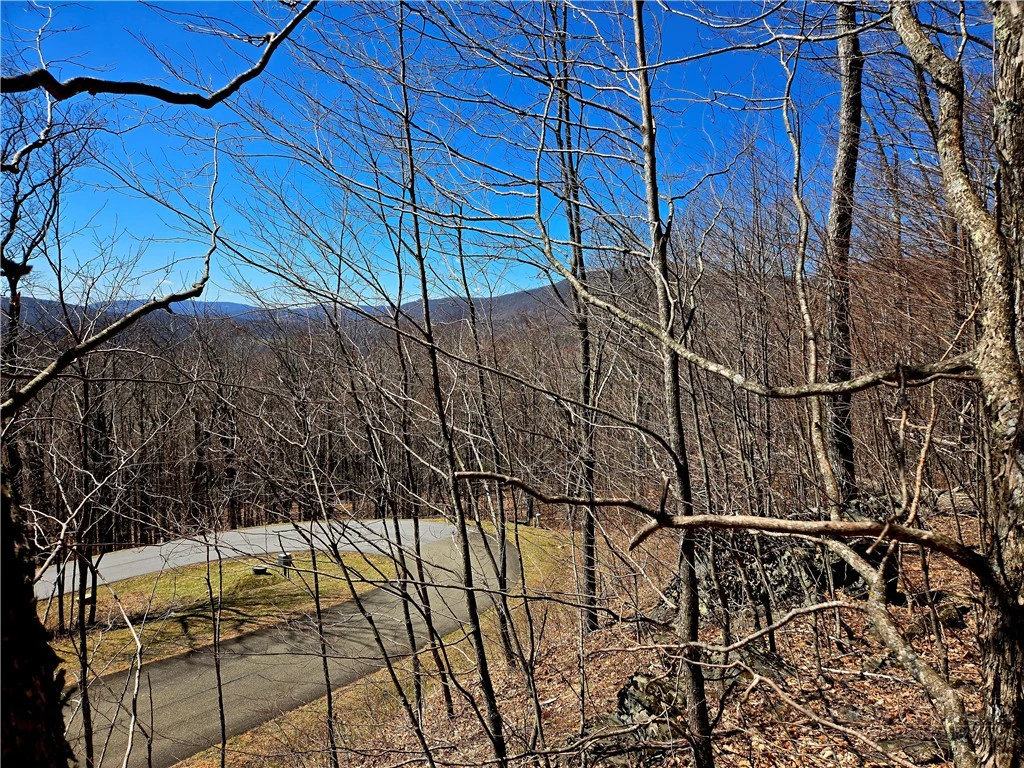 Image number 4 for the current listing