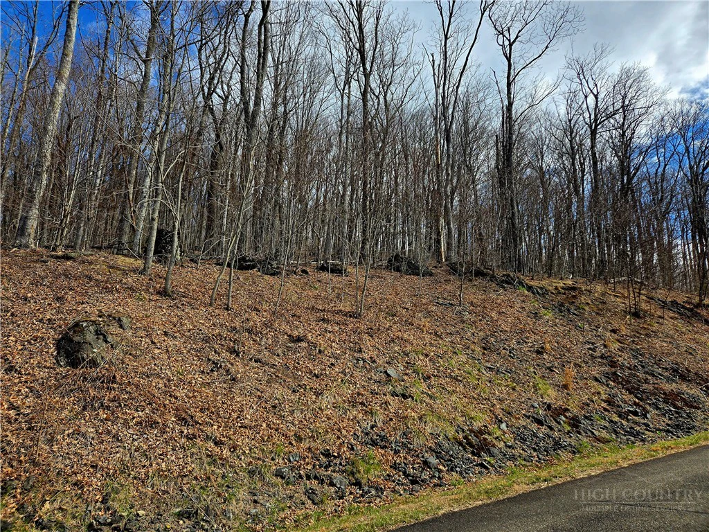 Image number 3 for the current listing