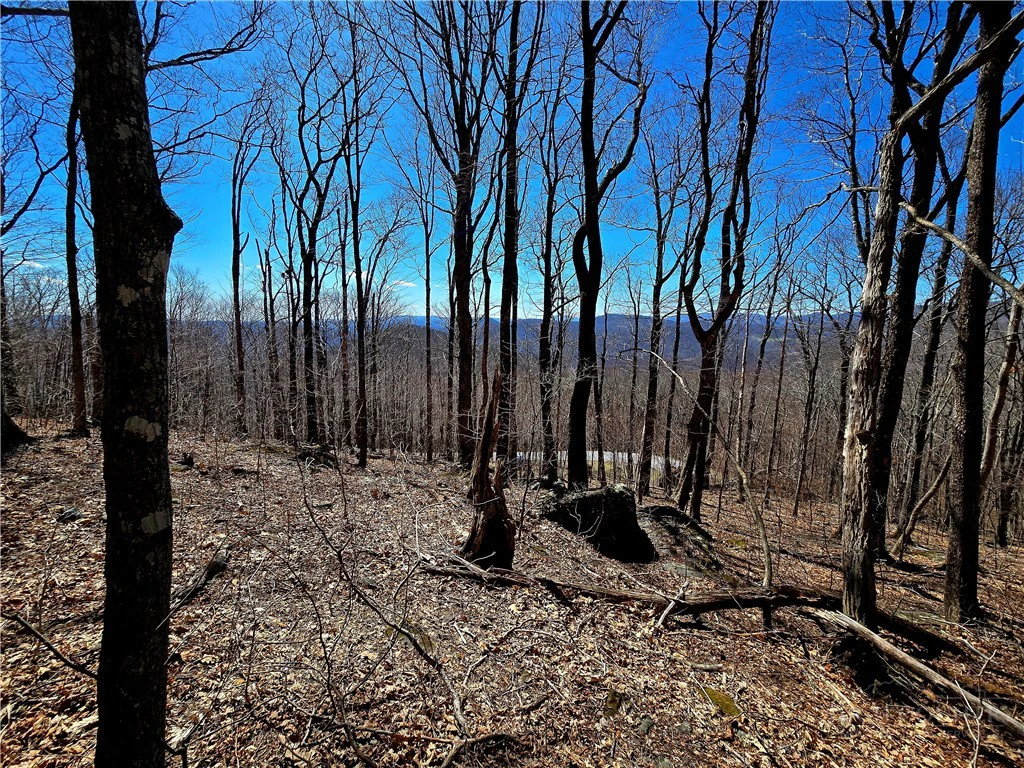 Image number 1 for the current listing