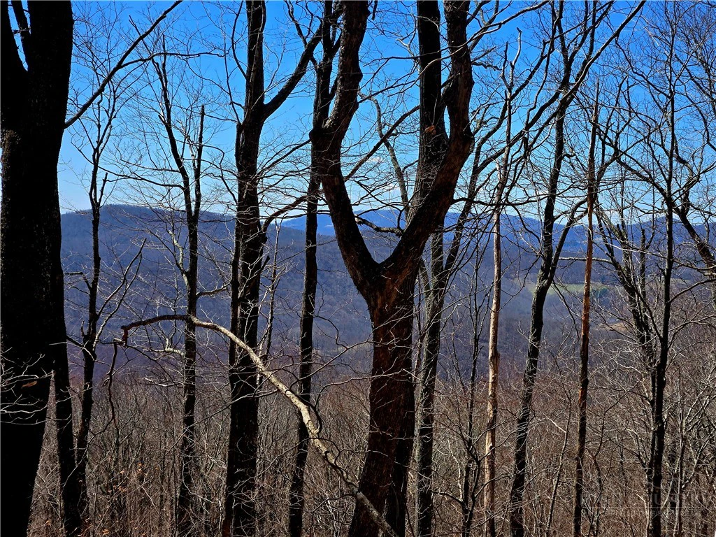 Image number 21 for the current listing