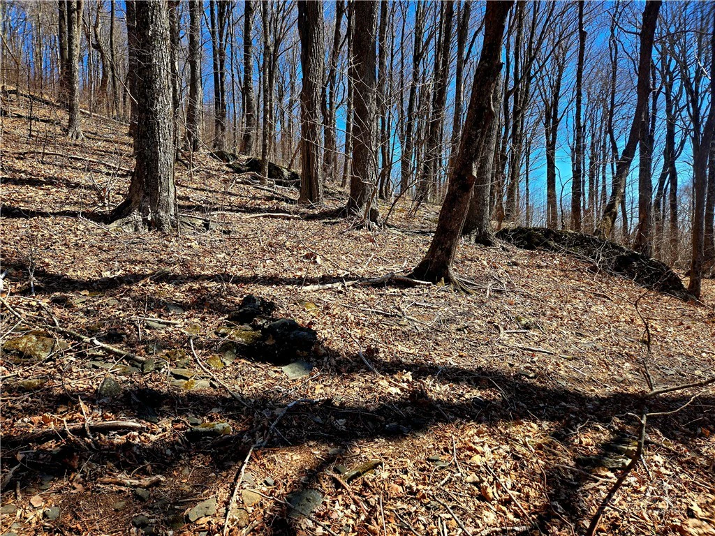Image number 19 for the current listing