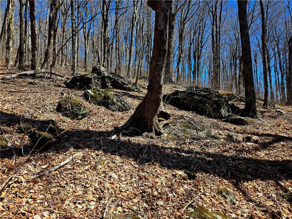 Image number 18 for the current listing