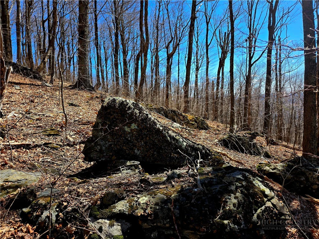 Image number 17 for the current listing