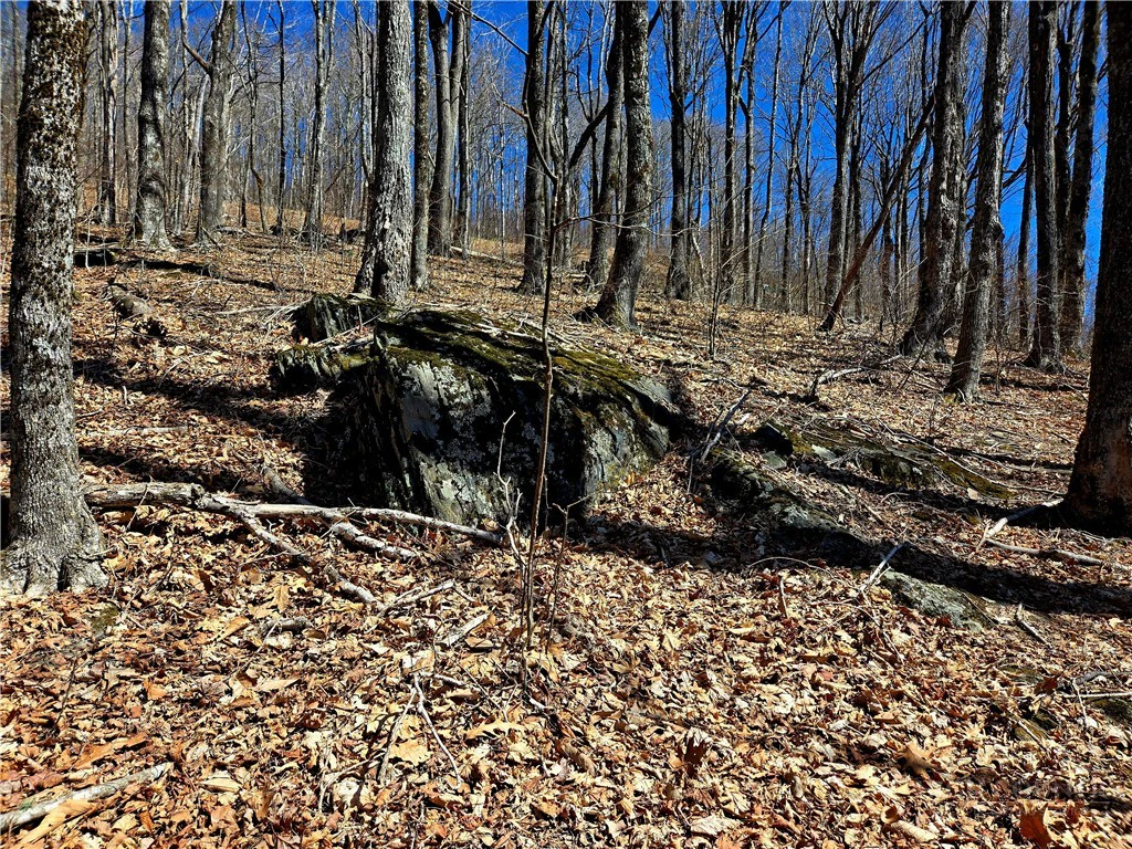 Image number 16 for the current listing