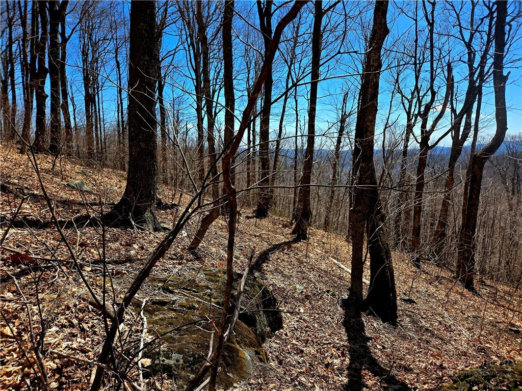 Image number 15 for the current listing