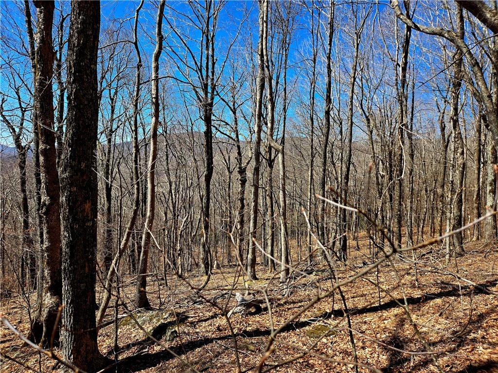 Image number 14 for the current listing
