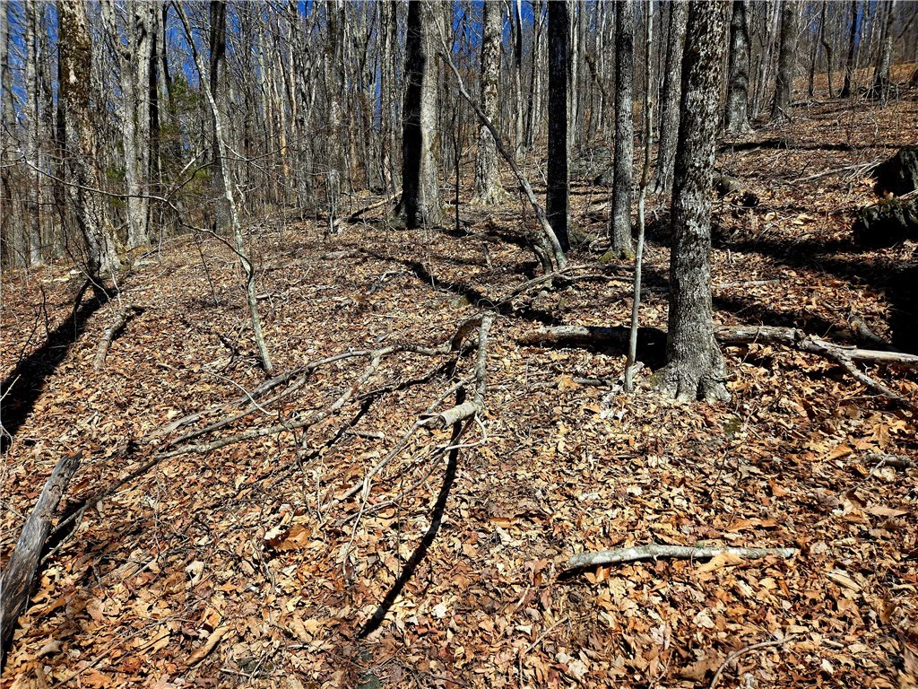 Image number 13 for the current listing