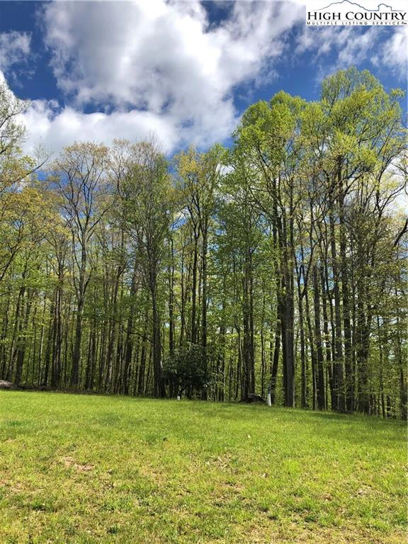 Image number 1 for the current listing