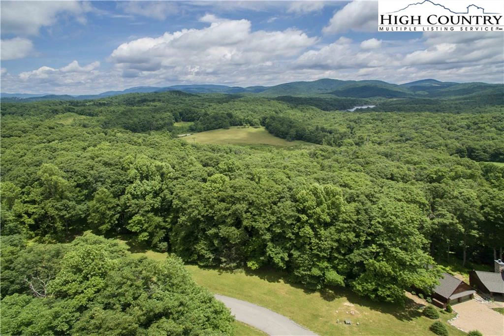 Image number 13 for the current listing