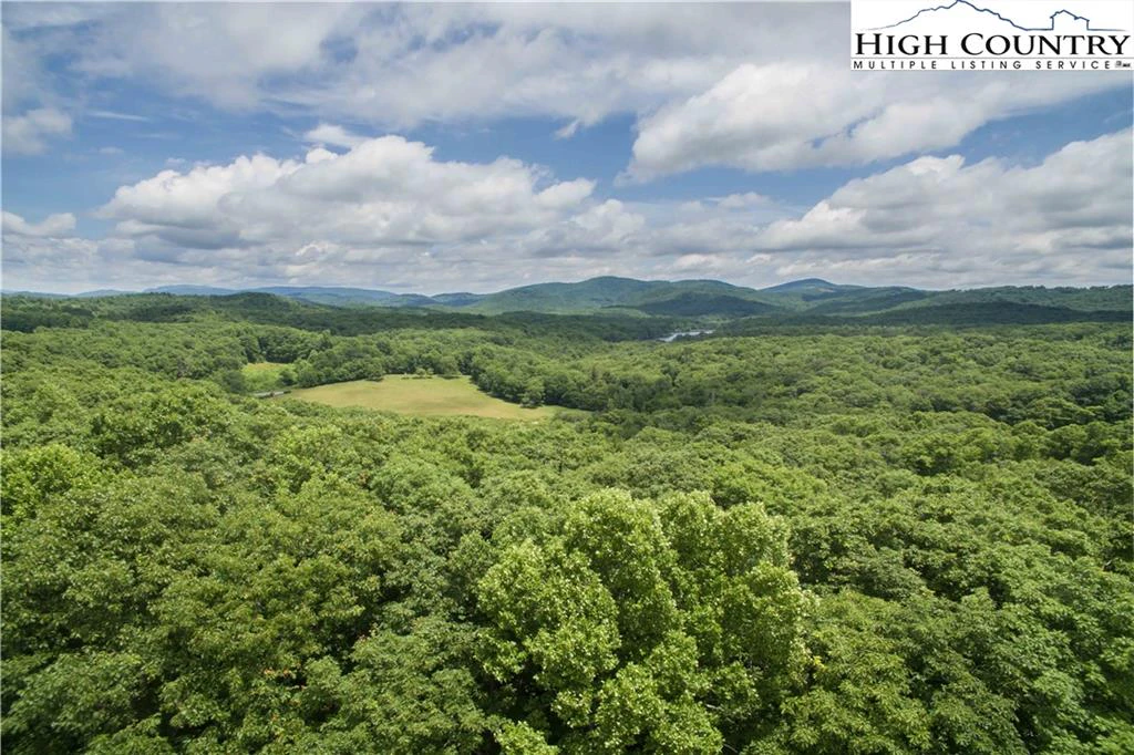 Image number 15 for the current listing
