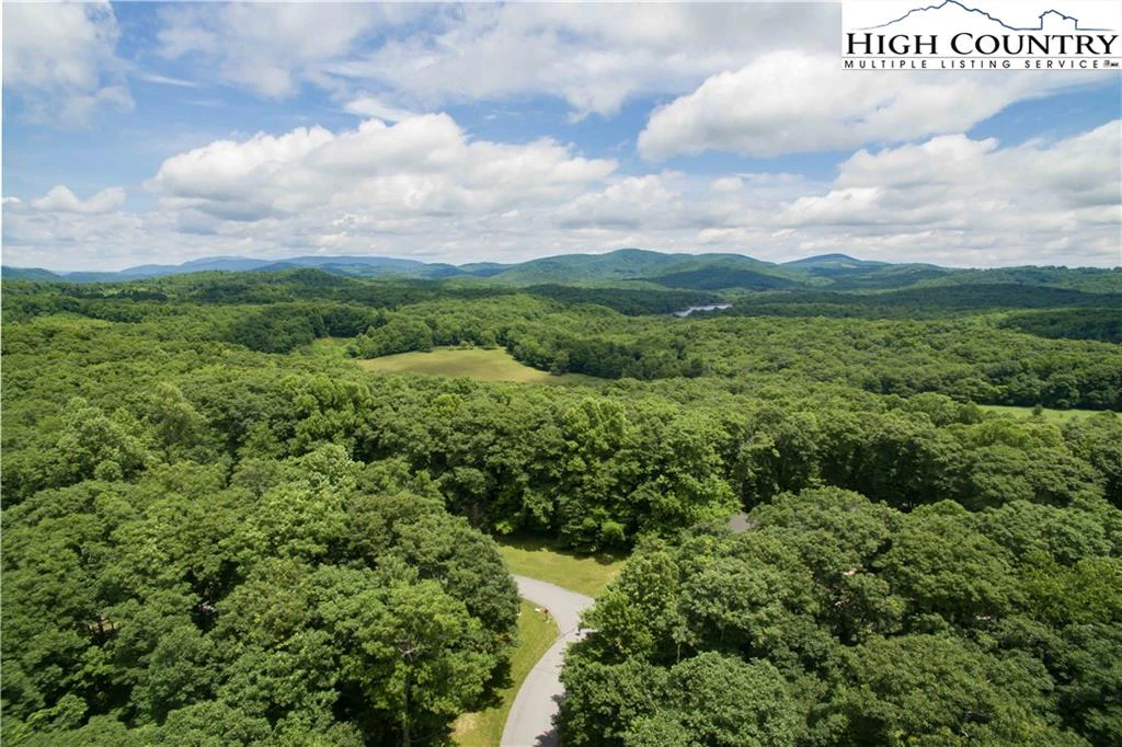 Image number 14 for the current listing