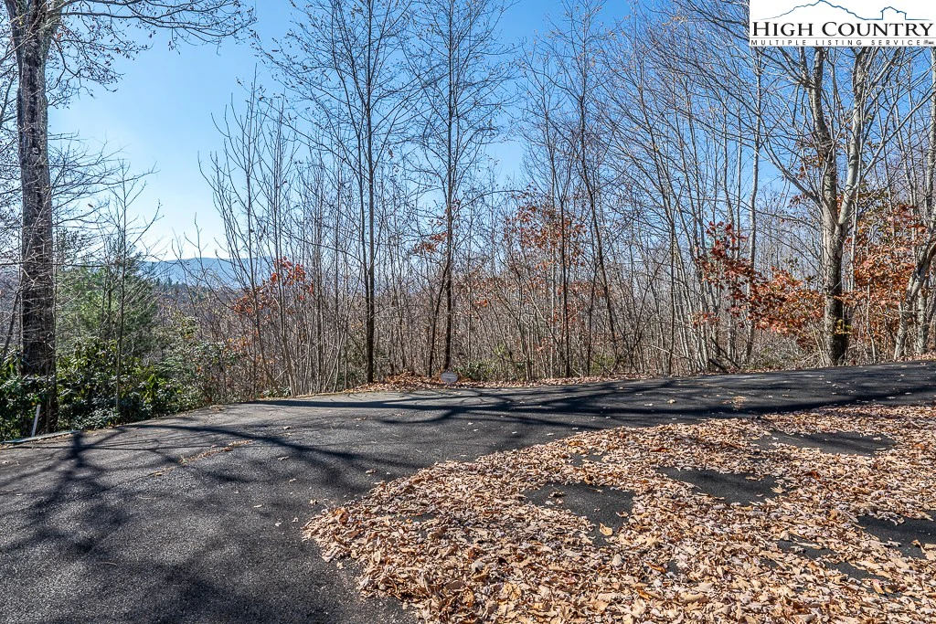 Image number 1 for the current listing