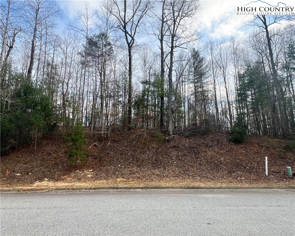 Image number 1 for the current listing