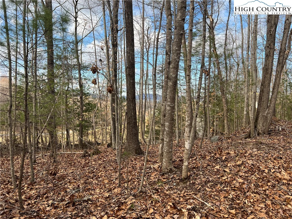 Image number 15 for the current listing