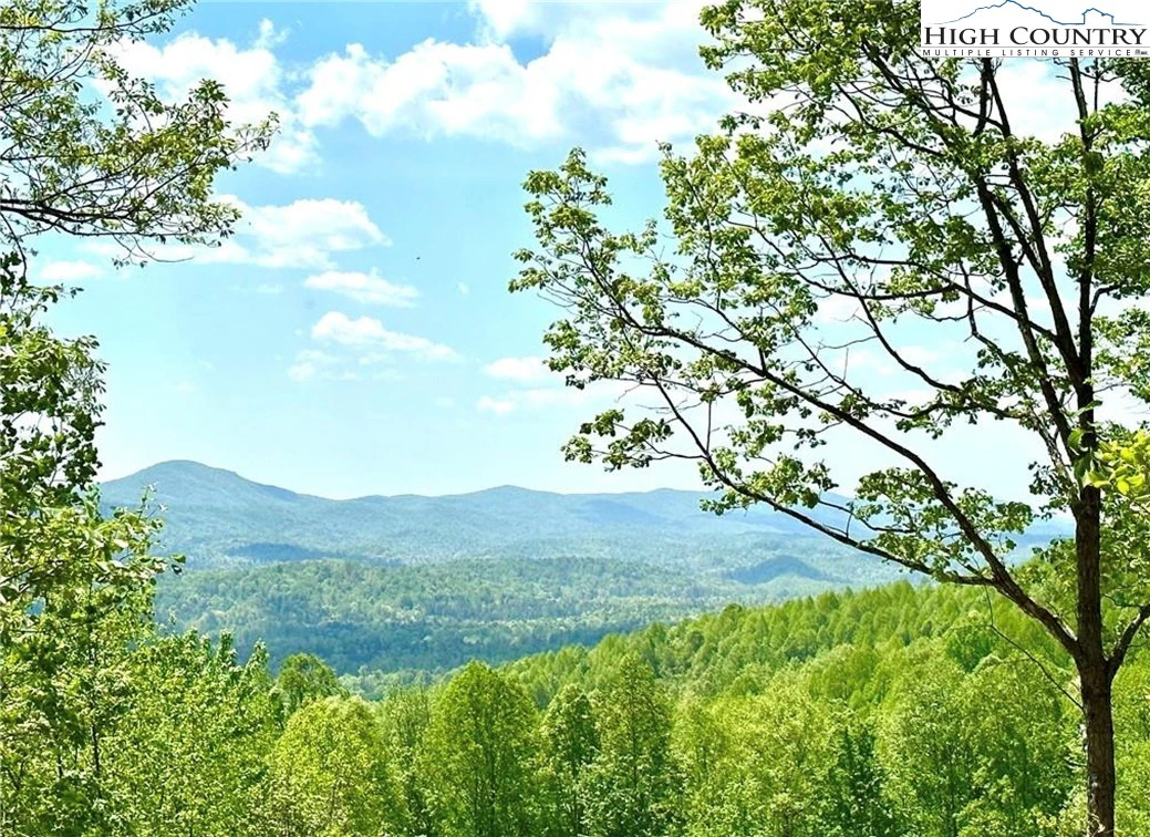 Image number 1 for the current listing