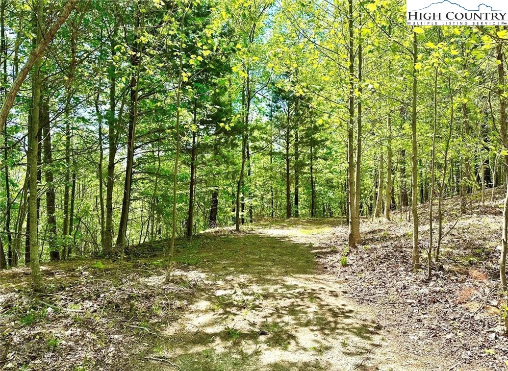 Image number 5 for the current listing