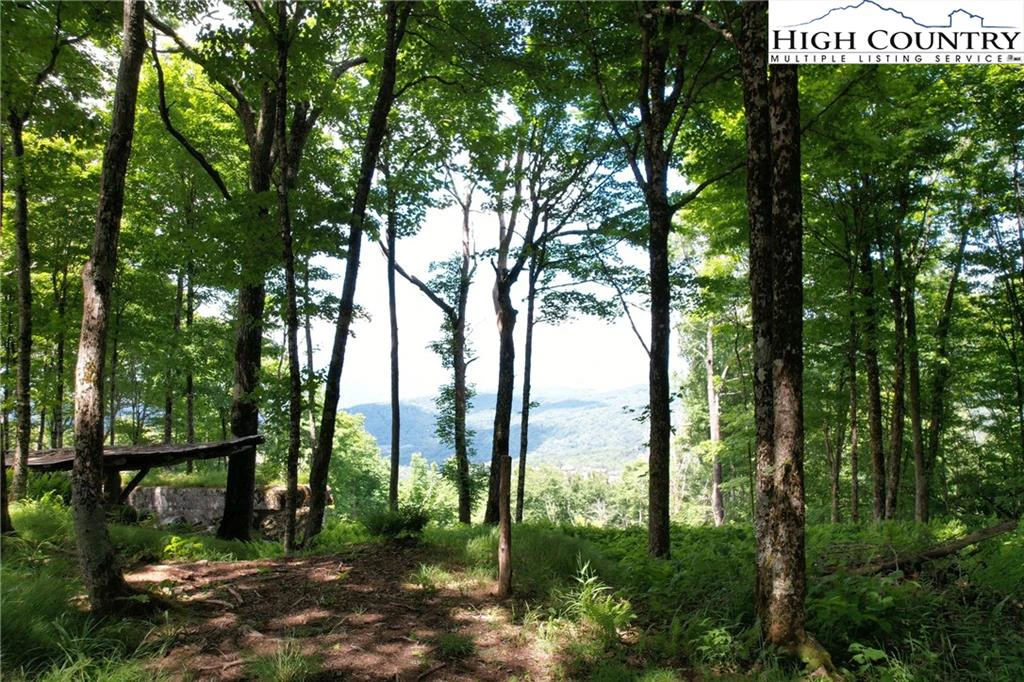 Image number 4 for the current listing
