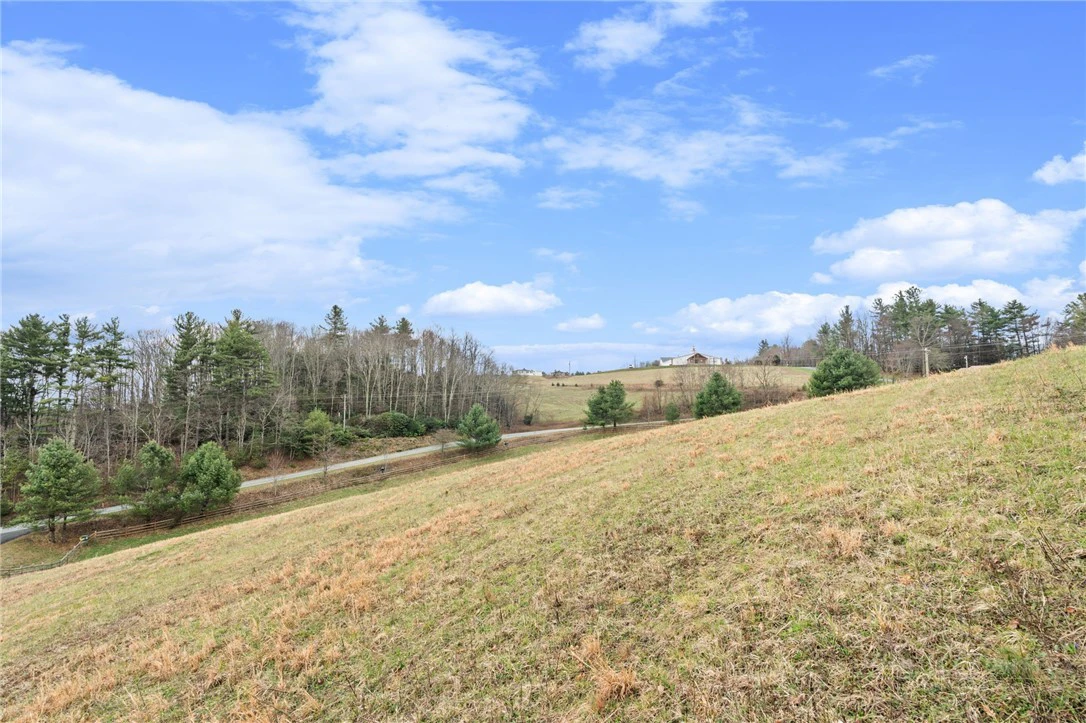 Image number 7 for the current listing