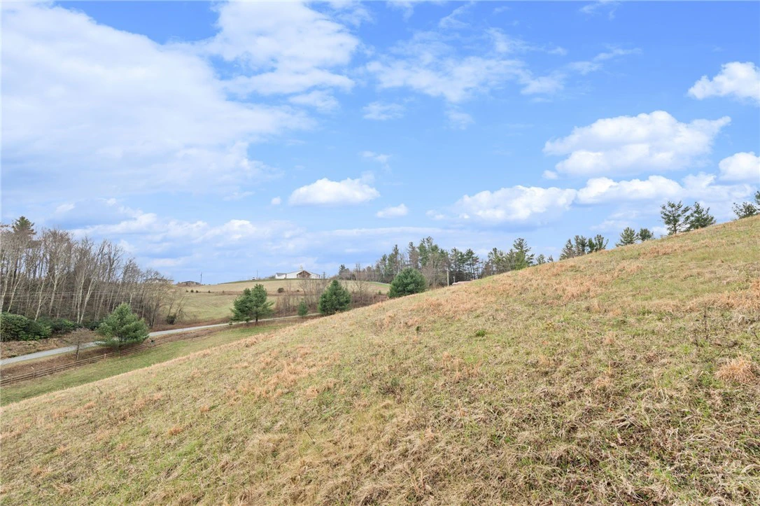 Image number 8 for the current listing