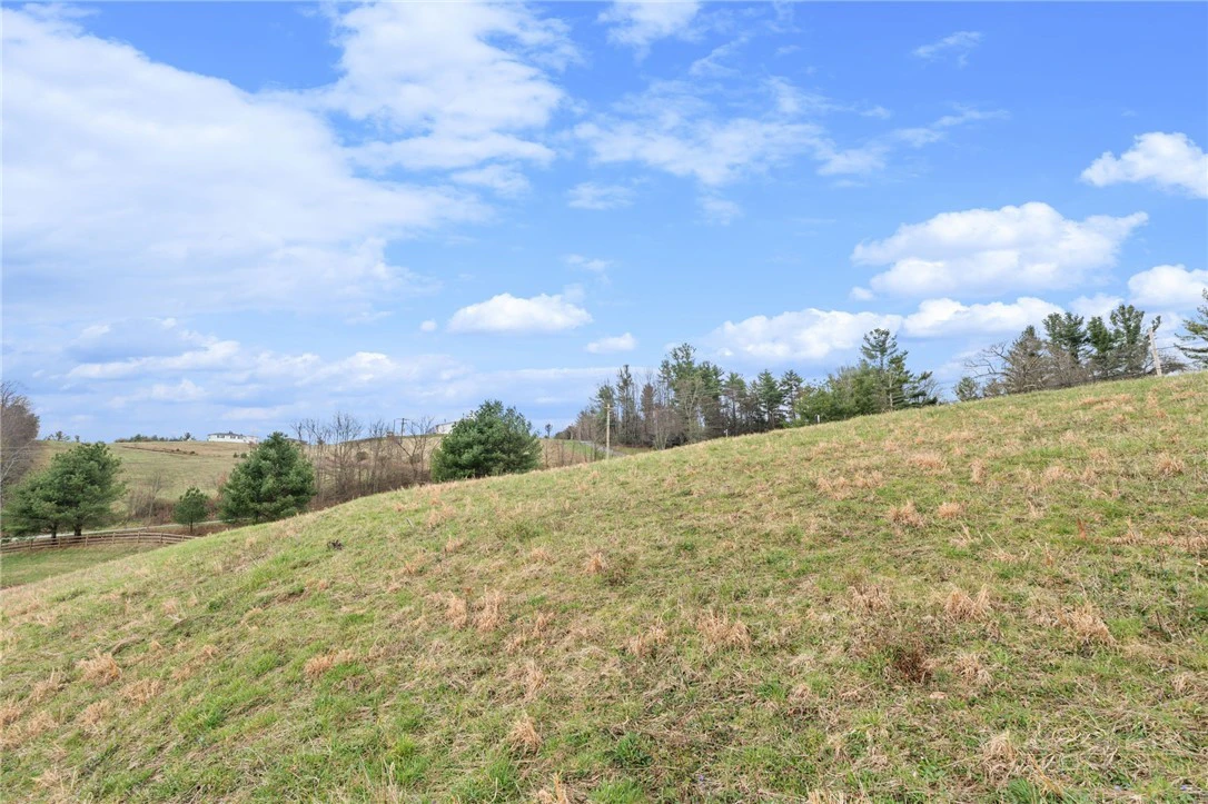 Image number 10 for the current listing