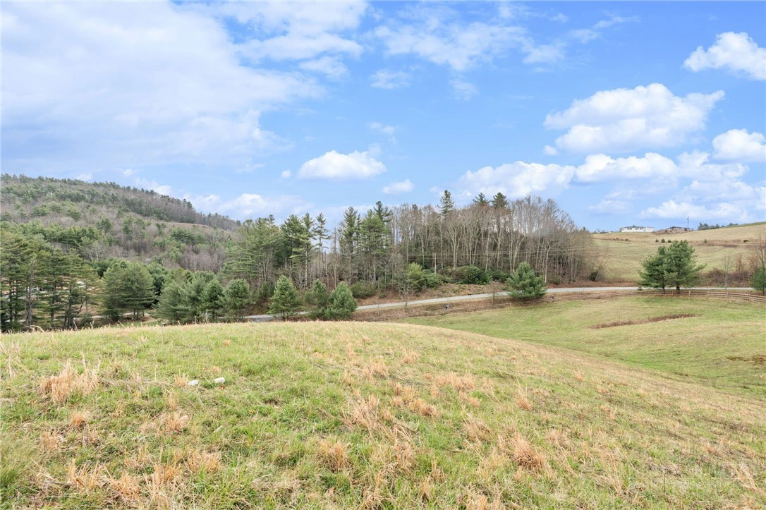 Image number 4 for the current listing