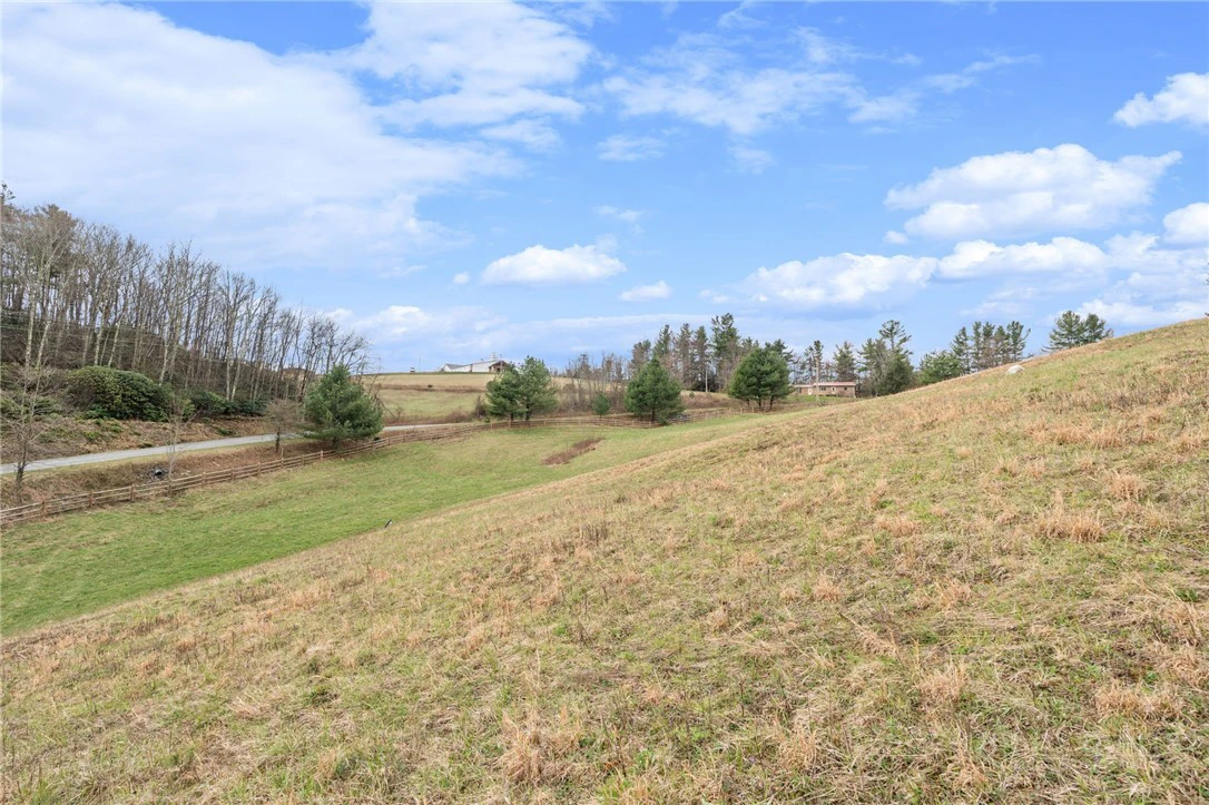 Image number 11 for the current listing