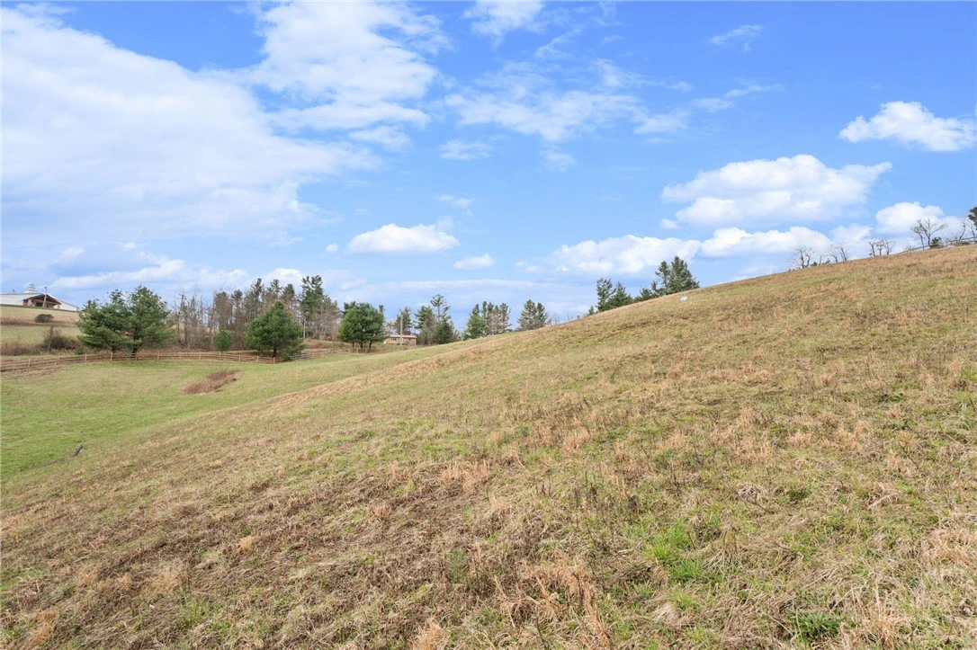 Image number 12 for the current listing
