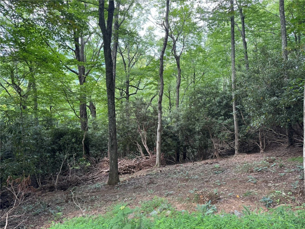 Image number 2 for the current listing