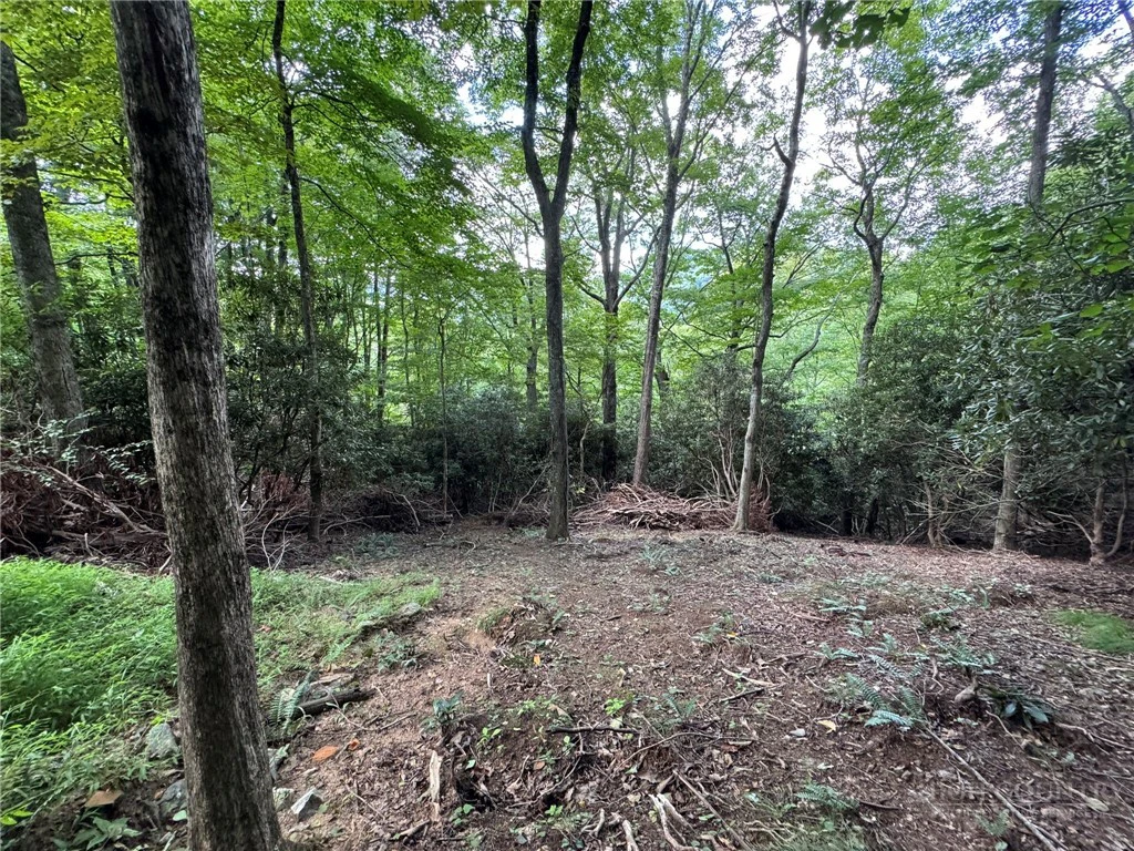 Image number 1 for the current listing
