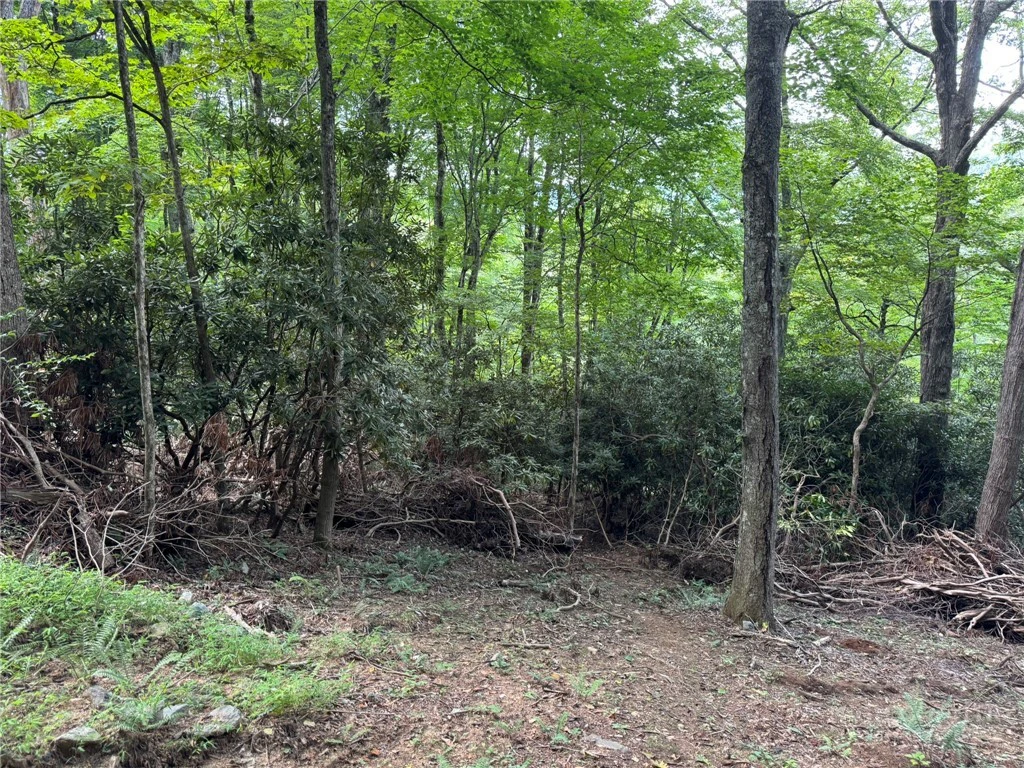 Image number 3 for the current listing